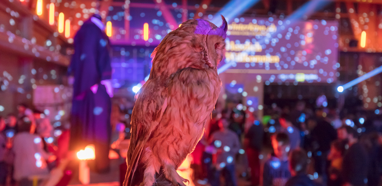 Winterkino 2018
